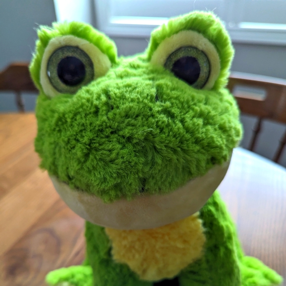 Teddy Mountain Frog. 14 Inches x 12. Soft and Cuddly. 2021. # 0315.